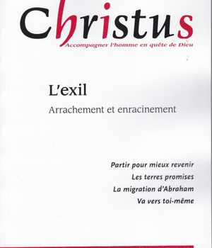 CHRISTUS N230 AVRIL 2011