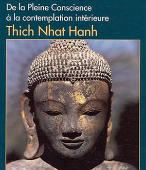 SPIRITUALITES VIVANTES POCHE - T131 - LA VISION PROFONDE (ESPACES LIBRES - SPIRITUALITES VIVANTES)