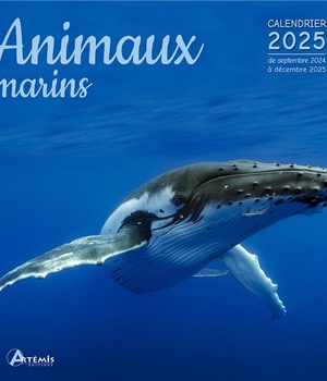 CALENDRIER ANIMAUX MARINS 2025
