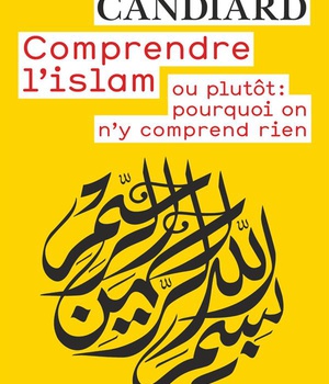 COMPRENDRE L'ISLAM OU PLUTOT POURQUOI ON N Y COMPREND RIEN ( BICP* )