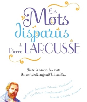 LES MOTS DISPARUS DE PIERRE LAROUSSE