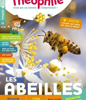 THEOPHILE N 14