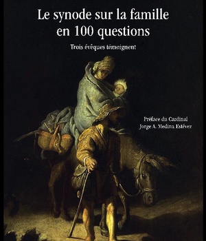 LE SYNODE SUR LA FAMILLE EN 100 QUESTIONS - TROIS EVEQUES TEMOIGNENT