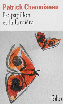LE PAPILLON ET LA LUMIERE