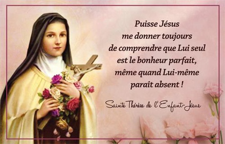 IMAGES SAINTE THERESE DE L'ENFANT-JESUS PAR LOT DE 20