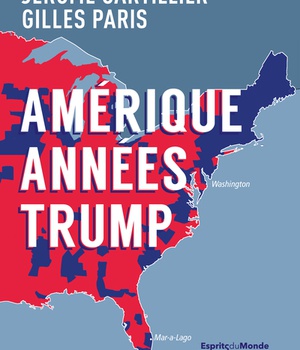 AMERIQUE ANNEES TRUMP