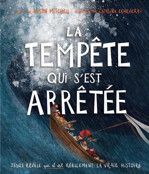 LA TEMPETE QUI S'EST ARRETEE - JESUS REVELE QUI IL EST REELLEMENT : LA VRAIE HISTOIRE