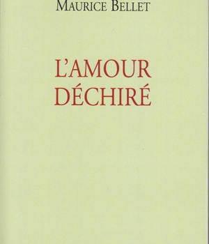 L'AMOUR DECHIRE