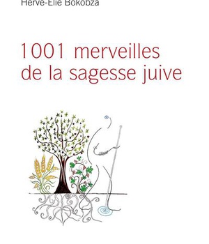 1001 MERVEILLES DE LA SAGESSE JUIVE