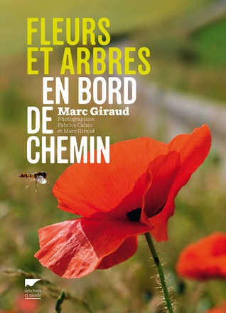 FLEURS ET ARBRES EN BORD DE CHEMIN