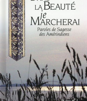DANS LA BEAUTE JE MARCHERAI
