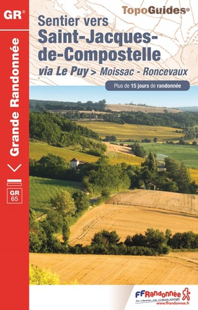 SAINT JACQUES MOISSAC-RONCEVAUX 2017-82-32-40-64-GR-653