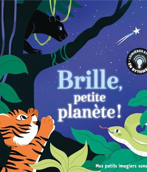BRILLE, PETITE PLANETE ! - 5 MUSIQUES - 5 IMAGES - 6 LUMIERES