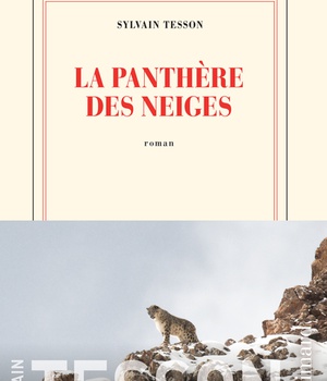 LA PANTHERE DES NEIGES