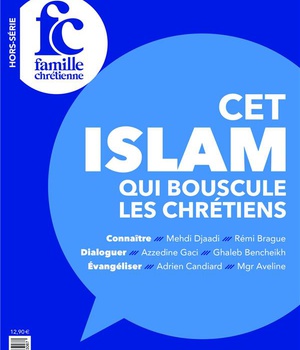 CET ISLAM QUI BOUSCULE LES CHRETIENS, TOME 27