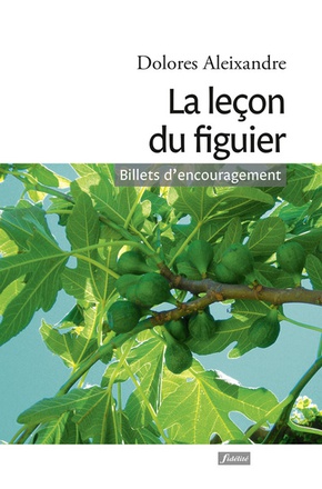 LA LECON DU FIGUIER