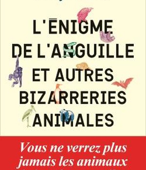 L'ENIGME DE L'ANGUILLE ET AUTRES BIZARRERIES ANIMALES