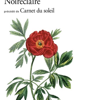 NOIRECLAIRE / CARNET DU SOLEIL