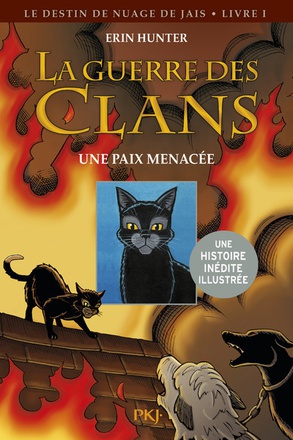 ROMANS CONTES - LA GUERRE DES CLANS - LE DESTIN DE NUAGE DE JAIS - TOME 1 UNE PAIX MENACEE -ILLUSTRE
