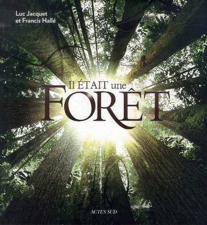 IL ETAIT UNE FORET - ILLUSTRATIONS, COULEUR
