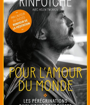 POUR L'AMOUR DU MONDE - LES PEREGRINATIONS D'UN MOINE BOUDDHISTE