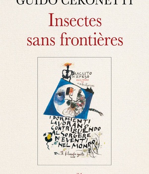 INSECTES SANS FRONTIERES