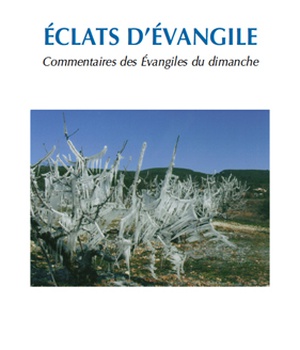 ECLATS D'EVANGILE - COMMENTAIRES DES EVANGILES DU DIMANCHE