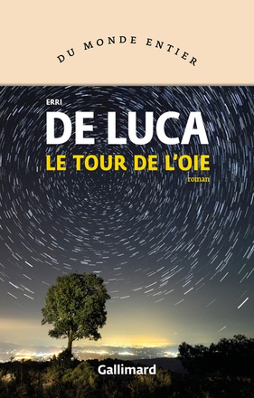 LE TOUR DE L'OIE