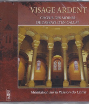 VISAGE ARDENT - AUDIO