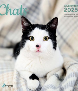 CALENDRIER CHATS 2025