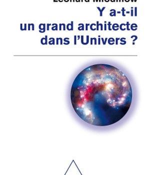 Y A T - IL UN GRAND ARCHITECTE DANS L'UNIVERS?