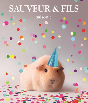 SAUVEUR & FILS SAISON 3 GRAND FORMAT