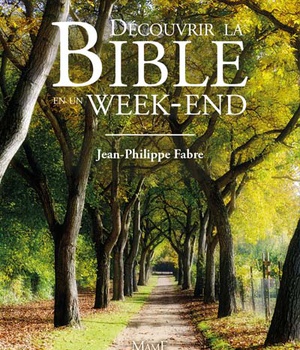 DECOUVRIR LA BIBLE EN UN WEEK-END ( BICP* )