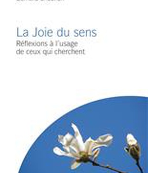 LA JOIE DU SENS - REFLEXIONS A L'USAGE DE CEUX QUI CHERCHENT