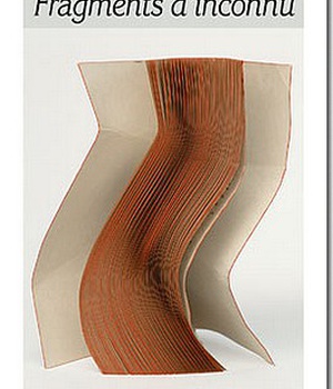 FRAGMENTS D'INCONNU