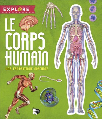 LE CORPS HUMAIN