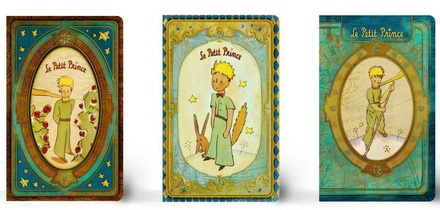 CAHIER SOUPLE  PETIT FORMAT LPP1 LOT3EX