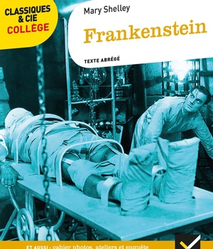 FRANKENSTEIN - AVEC UN GROUPEMENT THEMATIQUE SUR LA FIGURE DU SAVANT