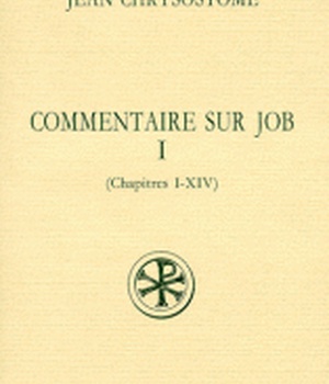 COMMENTAIRE SUR JOB - TOME 1 (CHAPITRES I-XIV)