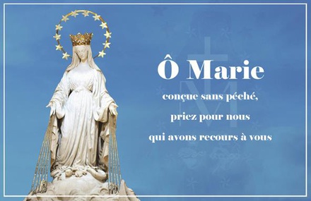 CARTE NOTRE-DAME DE LA MEDAILLE MIRACULEUSE PAR LOT DE 20