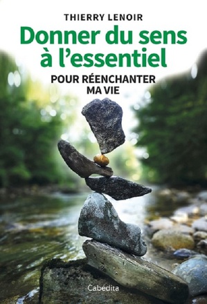 DONNER DU SENS A L'ESSENTIEL POUR REENCHANTER MA VIE