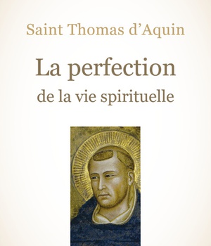 LA PERFECTION DE LA VIE SPIRITUELLE