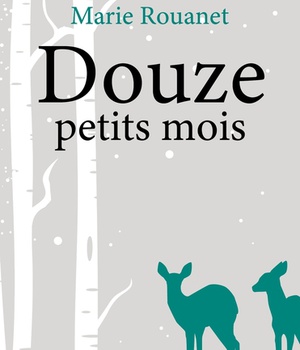 DOUZE PETITS MOIS