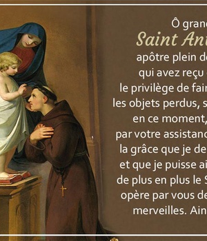 CARTE SAINT ANTOINE PAR LOT DE 20
