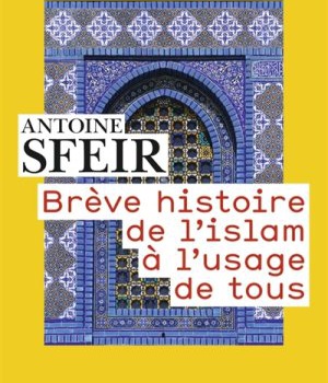 BREVE HISTOIRE DE L'ISLAM A L'USAGE DE TOUS