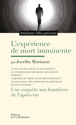 L'EXPERIENCE DE MORT IMMINENTE - UNE ENQUETE AUX FRONTIERES DE L'APRES-VIE