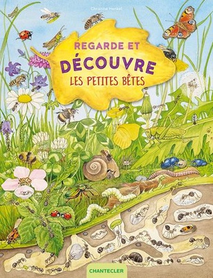 REGARDE ET DECOUVRE - LES PETITES BETES