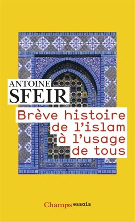 BREVE HISTOIRE DE L'ISLAM A L'USAGE DE TOUS