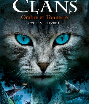 LA GUERRE DES CLANS, CYCLE VI - TOME 2 OMBRE ET TONNERRE - VOL32