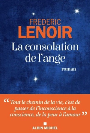 LA CONSOLATION DE L'ANGE